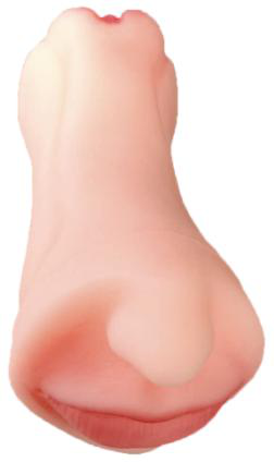 Mouth and Pussy Stroker