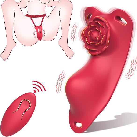 Remote Control Vibrator