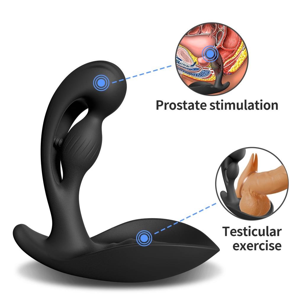 The Dual-Motor Prostate Massager - DualPulse