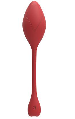 Remote Control Vibrating Egg — rose red