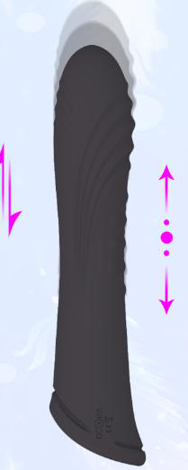Forward and Backward Shock Vibrator