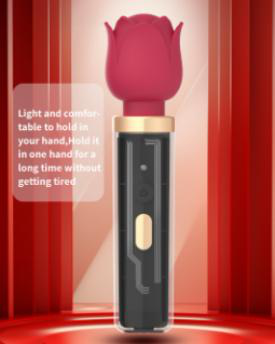 10 Vibration Modes Vibrator