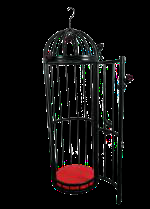 Canary Cage (Large)