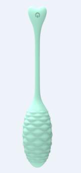 Egg Vibrator