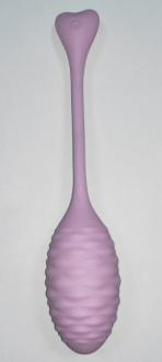 Remote-Controlled Vibrator