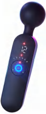 Flapping Vibrator with Heating Function