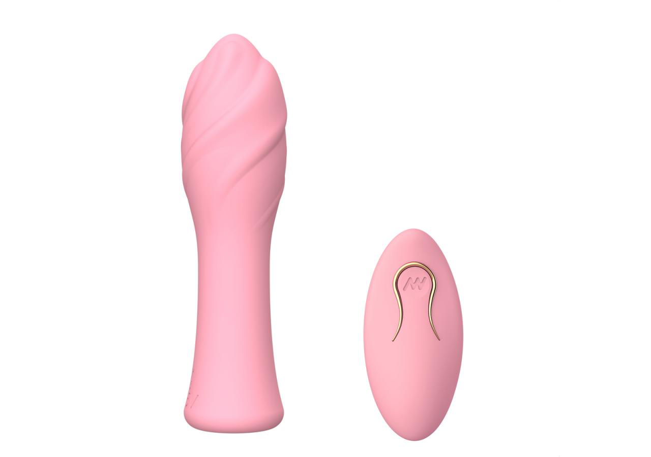 Vibrator with Remote