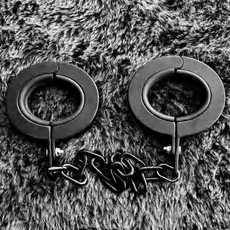 Heavy-Duty Leg Cuffs - Bondage restraints