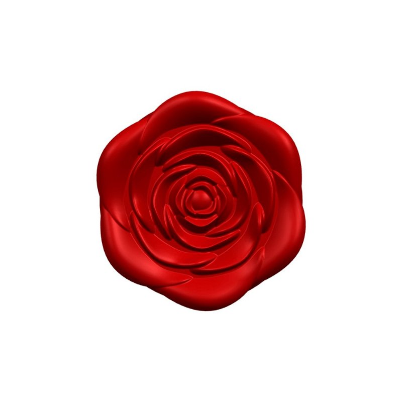 Vibrating and Thrusting Wand With Screen Indicator