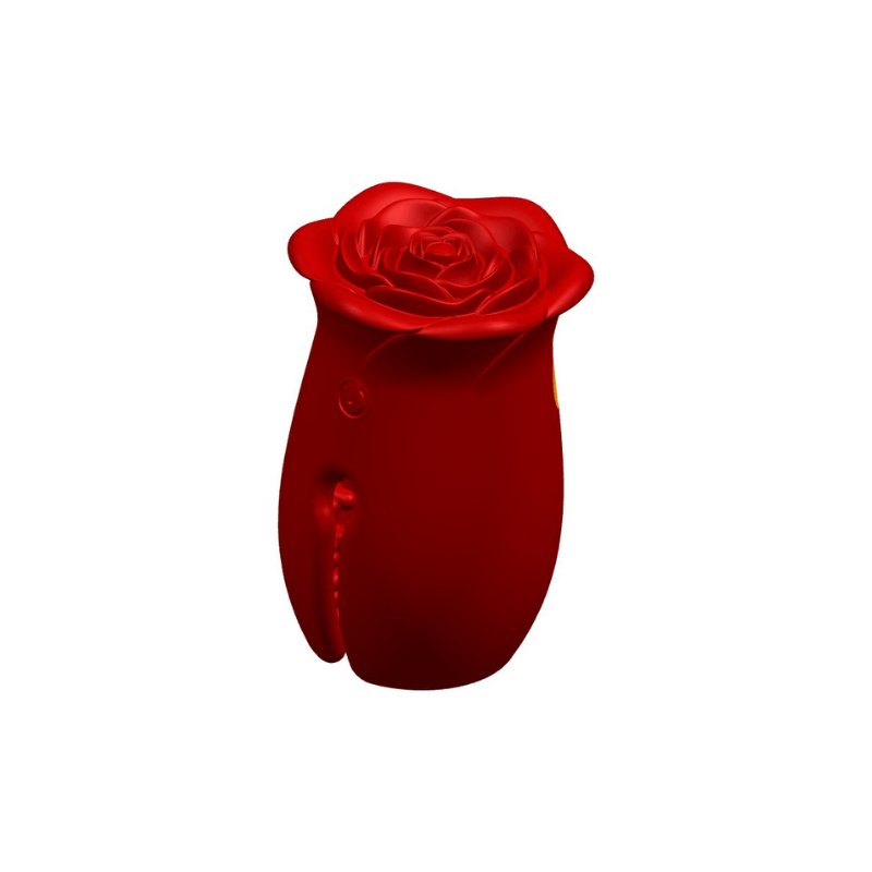 Vibrating and Thrusting Wand With Screen Indicator