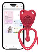 Vibrating Panty Vibrator with APP Control