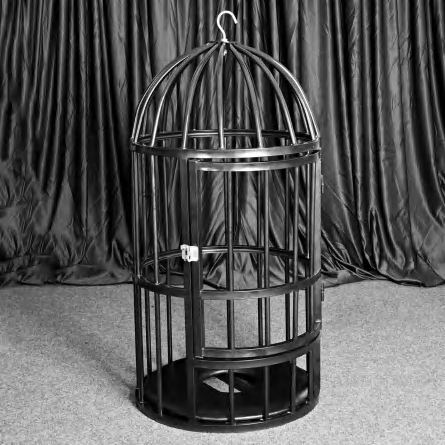 Birdcage