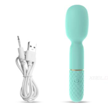10 Vibration Modes Vibrator