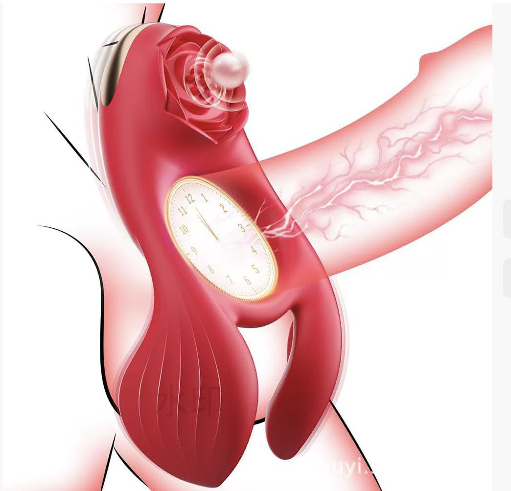 Vibrator — Zhenshuang Adult Toy