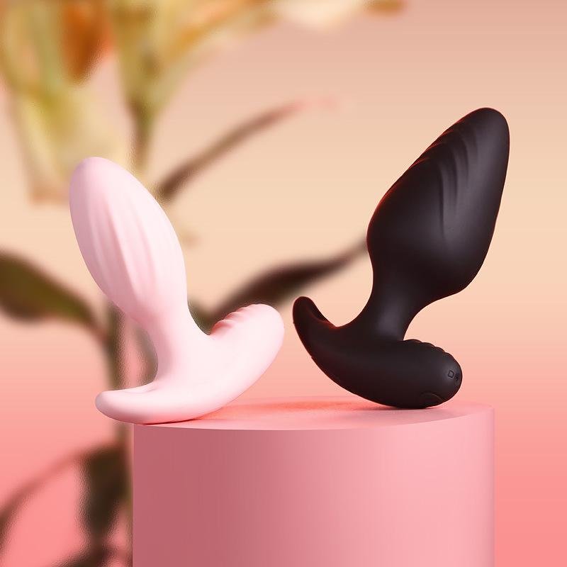 Remote Controlled Vibrating Anal Plug With 3 Non-vibrating Plug